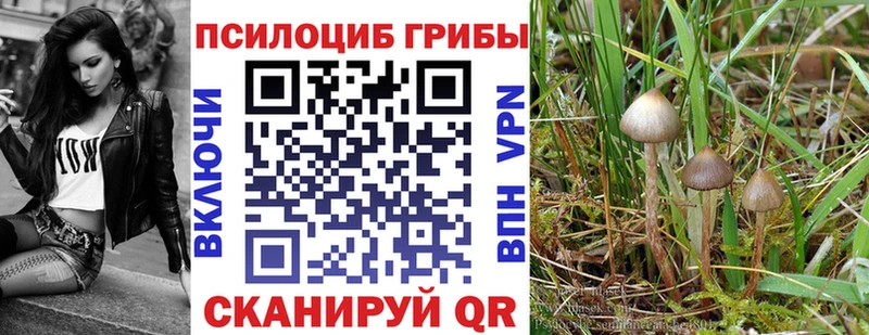 Псилоцибиновые грибы GOLDEN TEACHER  mega рабочий сайт  Советская Гавань  дарнет шоп 